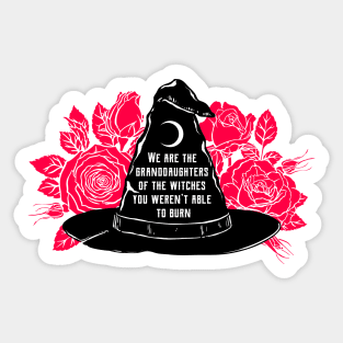 We Are The Granddaughters Of The Witches You Werent Able To Burn Sticker